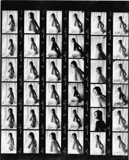 A typical professional photographer's contact print. It shows many photos that are veru similar. 